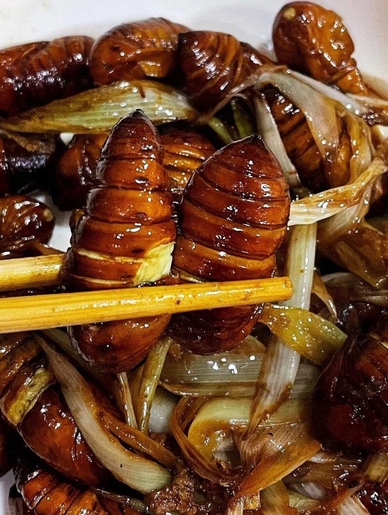 Silkworm Pupae - Foods in China